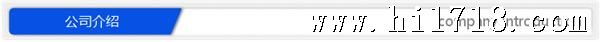 公司介绍