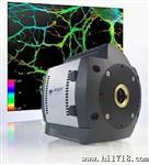供应安道尔 iXon+ DU897单光子探测EMCCD相机