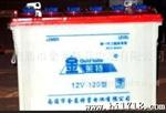 乐清 柳市镇 批发 天能牌 天能电池 电瓶 汽车电瓶 用铅酸蓄电池