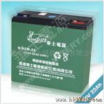 【】密闭阀控式 铅酸蓄电池 电动车电池48V22AH 60V
