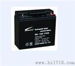 赛能蓄电池-赛能电池12V120AH