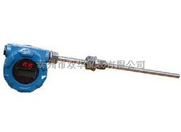 防爆数字温度显示仪