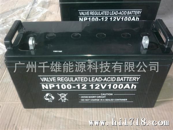 12V100AH 中性