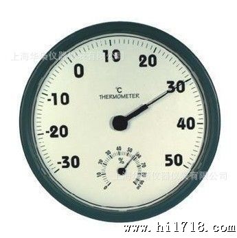TH306温湿度表