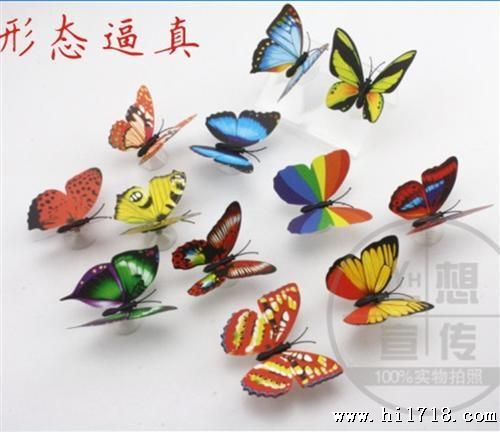 2013新品 蝴蝶吸盘七彩小夜灯 LED灯 自动变色灯 家居酒店礼品