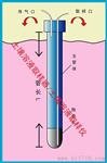 土壤溶液取样器/北京土壤溶液取样仪生产