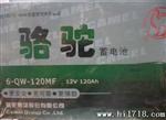 骆驼电池  12V  120AH  6-QW-120  免维护蓄电池