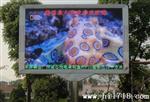 户外支柱式P16全彩色商业广告LED显示屏，广州诚芯P16LED显示屏
