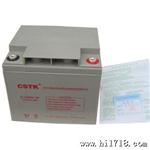 美国山特 CSTK UPS不间断电源 12V24AH UPS铅酸免维护蓄电池