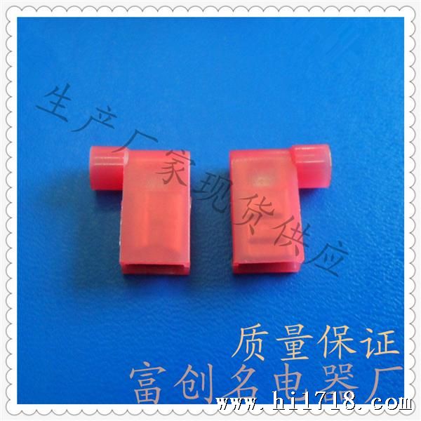 FLDNY1-250(1)