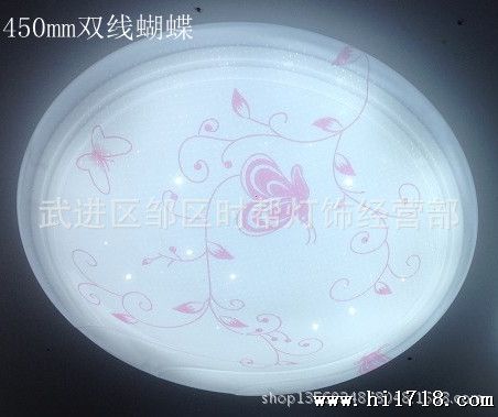 450双线蝴蝶_副本