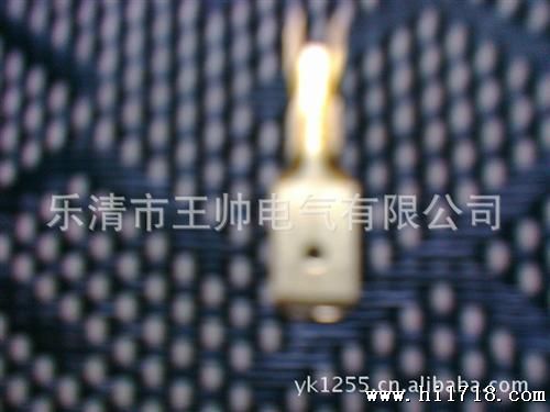 公母端子反背（6.3）