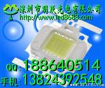 led光源,LED灯珠,集成LED,5W,10W,15W,20W,25W,方形LED