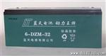 【】阀控式密闭  免维护电动车电池