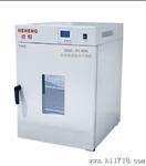 上海精密型电热恒温鼓风干燥箱 精密实验室烘箱DHG-9240A