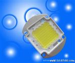 大功率led灯,LED集成光源,集成模块,广东led,深圳led