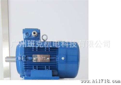丹麦 IE1 MS 80 1-2 0.87KW 工业用 铸铁电机