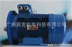 丹麦 IE1 MS 80 1-2 0.87KW 工业用 铸铁电机