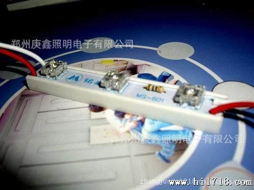 LED模块 食人鱼灯珠 发光字灯 白色
