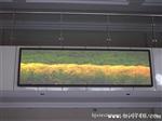 供应室内Ф3.75双基色LED显示屏