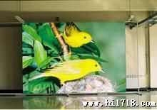 厂家批发户外立柱式全彩led广告显示屏 p10高亮低光衰led显示屏