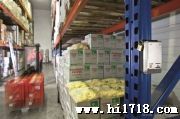 供应TTO176T1温度记录仪