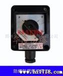 供应华隆BYB8030爆腐仪表