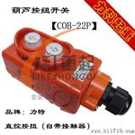 COB-21P葫芦按纽开关
