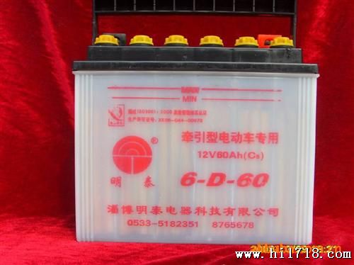 供应【6-DG-60小型电动三轮车蓄电池】