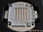厂家批发 10W大功率LED集成黄光 led封装厂家 集成led led大功率
