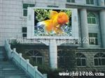 瑞宝供应广州p10户外全彩全水显示屏