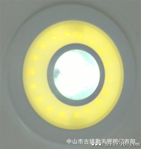 双色天花灯/LED灯/天花灯LED