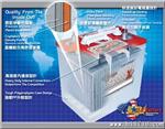 美国US电动游览车电池US2200