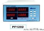 PF1202电参数测试仪 电参数测量仪 电压600V 电流2000mA