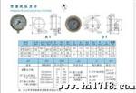 供应FTB323.11压力表