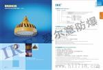 LED爆灯8638/20W-40W