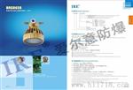 LED爆灯8658/10W-30W