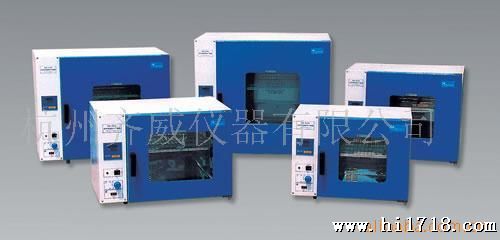供应恒温试验箱，台式鼓风干燥箱 电热恒温鼓风干燥箱，DHG-9030A