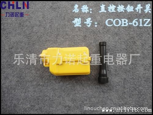 小型电动葫芦按钮开关COB-61Z  质量优等