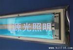 大量现货LED单管不锈钢净化灯