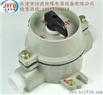 爆照明开关SW-10销售厂家，爆开关价格
