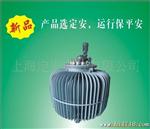 上海定安生产 TDJA-63kva系列油浸自冷单相感应式调压器