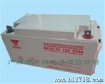广东汤浅NP12-12蓄电池 电动工具仪表仪器蓄电池