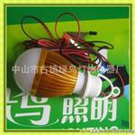 12V LED直流球泡灯具 太阳能系统省电瓶蓄电池灯