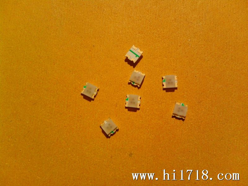照片-0555