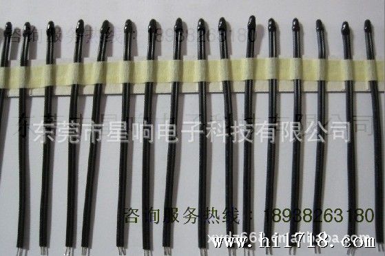 环氧NTC温度传感器（PVC引线）