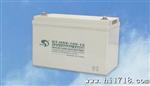 供应BT-HSE-100-12赛特BAOTE电池