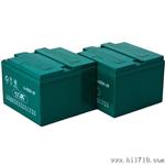 旭派48v28ah电动车蓄电池