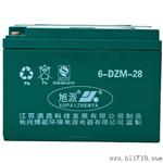 旭派48v28ah电动车蓄电池