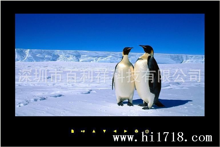 15.6寸效果图